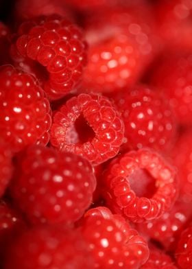 Fresh red berries close up