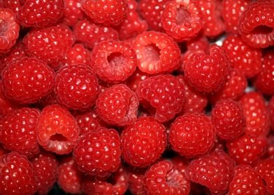 Fresh red berries close up