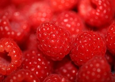 Fresh red berries close up