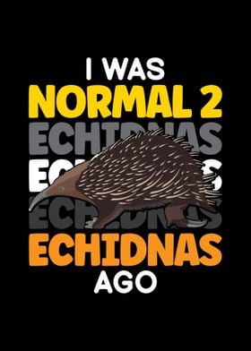 Echidna