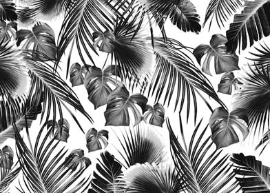 Tropical Jungle Leaves 11a