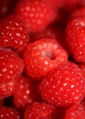 Fresh red berries close up