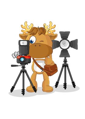 Moose photographer