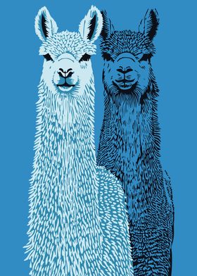 Alpacas Wall Art