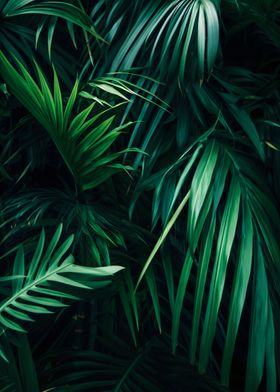 palm leaves wall