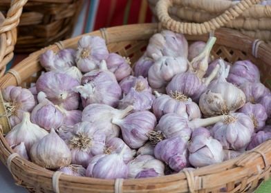 Basket of Garlic