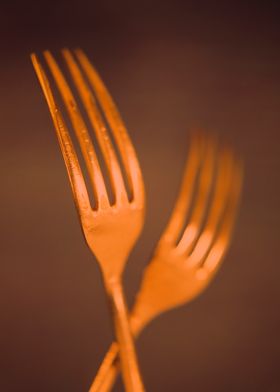 Two Forks