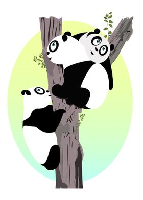 Pandas In A Tree