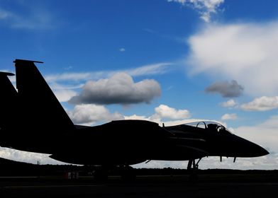 Silhouetted Eagle