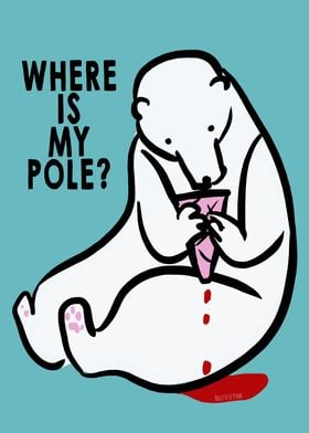 Where is my pole
