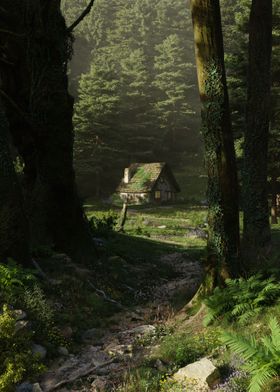 House in the woods