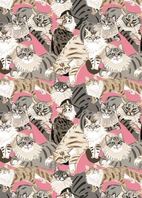Siberian Cats pattern