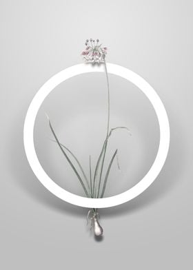 Nodding Onion Flower Art