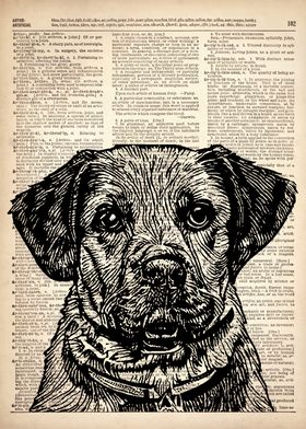 Labrador puppy Dog art