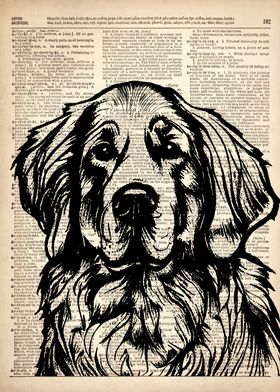 Golden Retriever Dog art