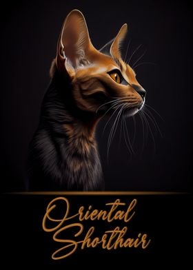 Oriental Shorthair