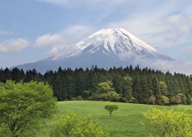 Mt Fuji Japan at spring