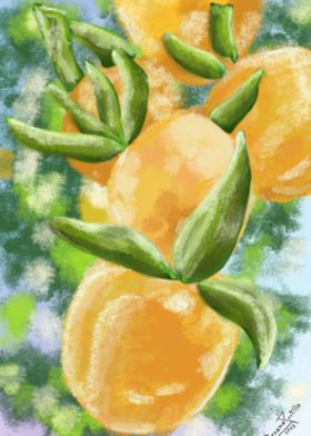 Oranges