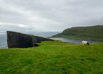 Green cliffs Faroe islands