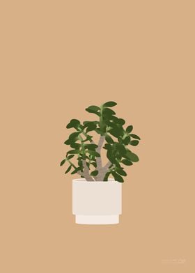 Jade Plant Illustration