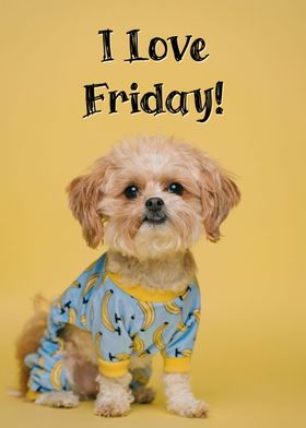 Dog Quote I Love Friday