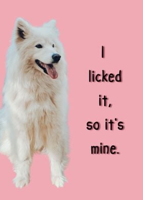 Dog Quote Funny Pooch