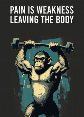 Monkey Fitness Motivation