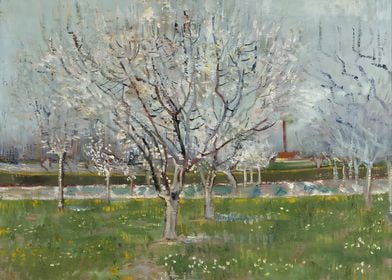 Orchard in Blossom Vincent