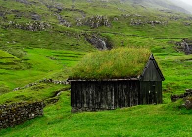 Green Faroe Islands