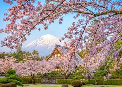 Japan in Spring 