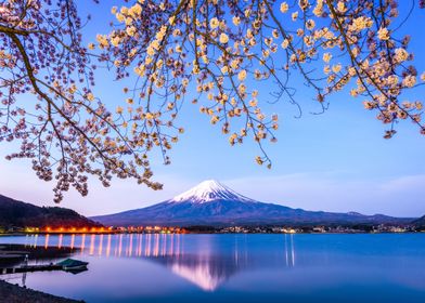 Fuji at Lake Kawaguchi