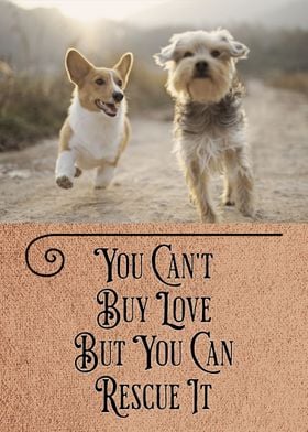 Dog Quote Pooch Love 