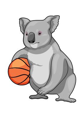 Koala Basketball