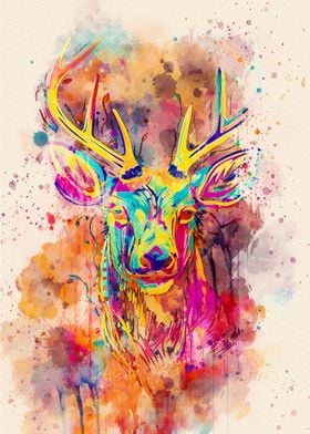 Deer colorful