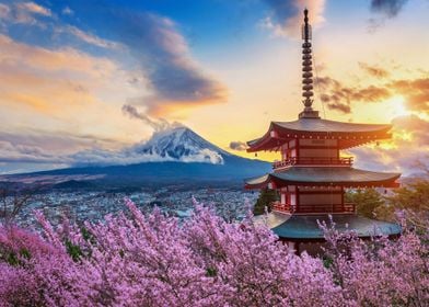 Mt Fuji in Autumn