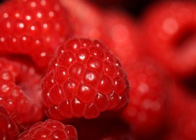 Fresh red berries close up