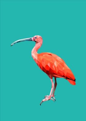 Scarlet Ibis