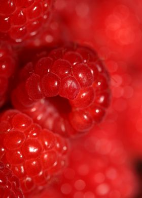 Fresh red berries close up