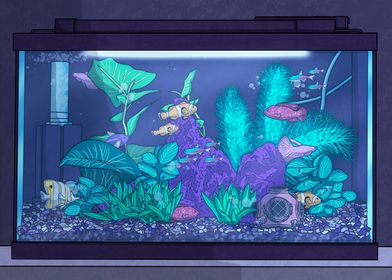 Aquarium after Dark