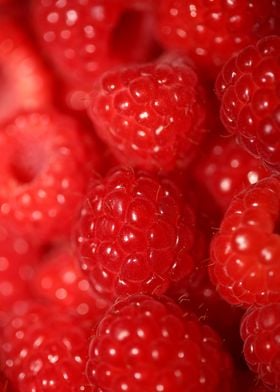 Fresh red berries close up