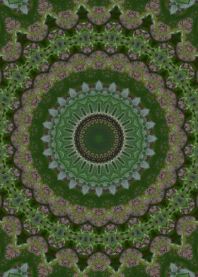 Green grass Kaleidoscope 1