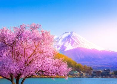 Japan Landscape Mt fuji