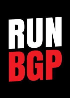 Run BGP for Networking