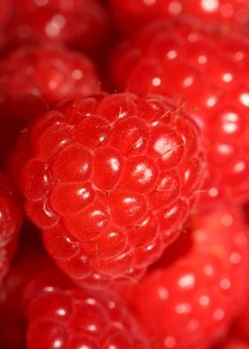 Fresh red berries close up