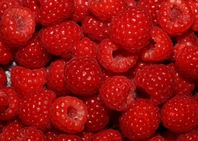 Fresh red berries close up