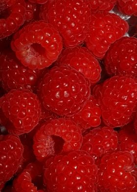 Fresh red berries close up