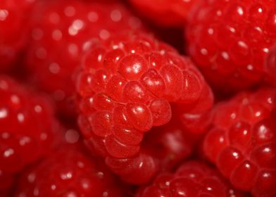 Fresh red berries close up