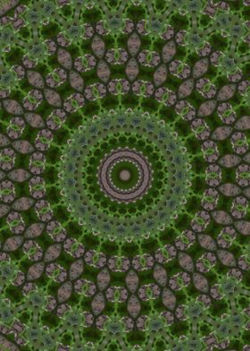 Green grass Kaleidoscope 6
