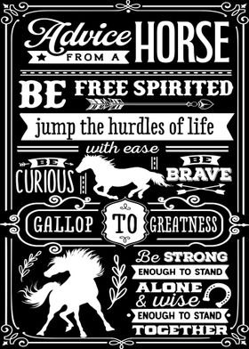 Advice From a Horse Poster