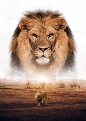 Lion King Savannah Africa